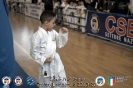 KARATE: 10° Trofeo Lombardia - 2 Tappa - Cornaredo (MI)_8
