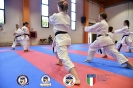 Karate - Stage S. Sanchez J. Del Moral_15