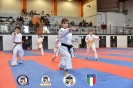 Karate - Stage S. Sanchez J. Del Moral_30