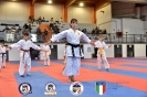 Karate - Stage S. Sanchez J. Del Moral_31