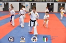 Karate - Stage S. Sanchez J. Del Moral_36