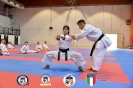 Karate - Stage S. Sanchez J. Del Moral_43