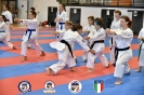 Karate - Stage S. Sanchez J. Del Moral_78