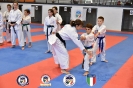 Karate - Stage S. Sanchez J. Del Moral_81