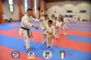 Karate - Stage S. Sanchez J. Del Moral_88