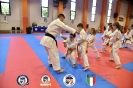 Karate - Stage S. Sanchez J. Del Moral_89