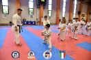 Karate - Stage S. Sanchez J. Del Moral_90