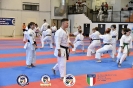 Karate - Stage S. Sanchez J. Del Moral_93