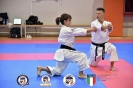 Karate - Stage S. Sanchez J. Del Moral_9
