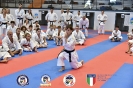 Karate - Stage S. Sanchez J. Del Moral_106