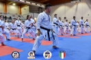 Karate - Stage S. Sanchez J. Del Moral_115
