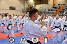 Karate - Stage S. Sanchez J. Del Moral_116