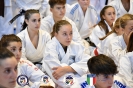 Karate - Stage S. Sanchez J. Del Moral_128