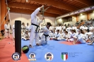 Karate - Stage S. Sanchez J. Del Moral_142