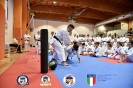 Karate - Stage S. Sanchez J. Del Moral_145