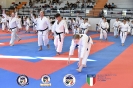 Karate - Stage S. Sanchez J. Del Moral_175