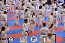 Karate - Stage S. Sanchez J. Del Moral_181