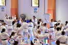 Karate - Stage S. Sanchez J. Del Moral_183