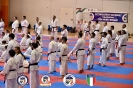 Karate - Stage S. Sanchez J. Del Moral_186