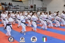 Karate - Stage S. Sanchez J. Del Moral_188
