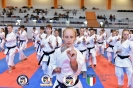 Karate - Stage S. Sanchez J. Del Moral_195