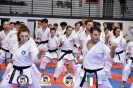 Karate - Stage S. Sanchez J. Del Moral_208