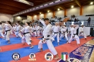Karate - Stage S. Sanchez J. Del Moral_212