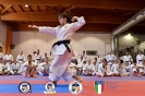 Karate - Stage S. Sanchez J. Del Moral_222