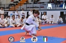 Karate - Stage S. Sanchez J. Del Moral_233