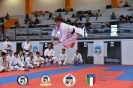 Karate - Stage S. Sanchez J. Del Moral_235