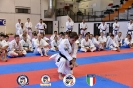 Karate - Stage S. Sanchez J. Del Moral_237
