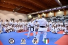 Karate - Stage S. Sanchez J. Del Moral_250