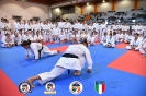 Karate - Stage S. Sanchez J. Del Moral_254