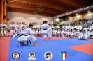 Karate - Stage S. Sanchez J. Del Moral_255