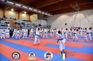 Karate - Stage S. Sanchez J. Del Moral_268