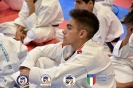 Karate - Stage S. Sanchez J. Del Moral_281