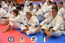 Karate - Stage S. Sanchez J. Del Moral_288