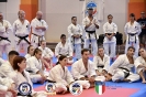 Karate - Stage S. Sanchez J. Del Moral_292