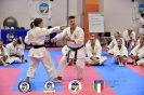 Karate - Stage S. Sanchez J. Del Moral_293