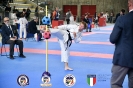 Karate - 14 Trofeo Lombardia