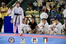 Karate - 14 Trofeo Lombardia